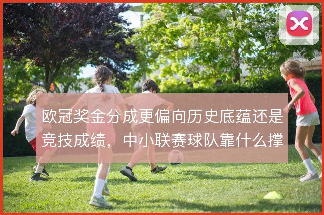 欧冠奖金分成更偏向历史底蕴还是竞技成绩，中小联赛球队靠什么撑住