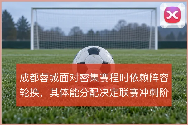 成都蓉城面对密集赛程时依赖阵容轮换，其体能分配决定联赛冲刺阶段表现